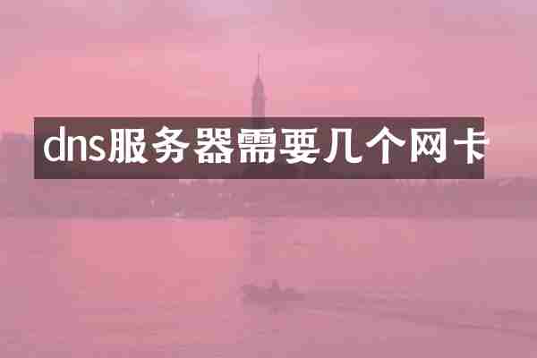 dns服务器需要几个网卡