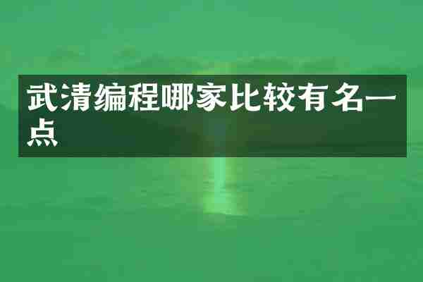 武清编程哪家比较有名一点