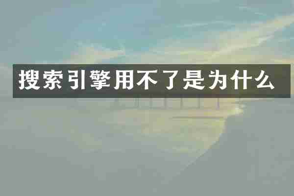 搜索引擎用不了是为什么
