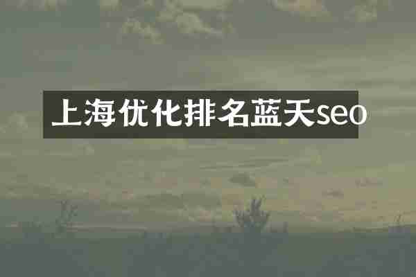上海优化排名蓝天seo