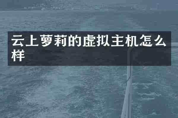 云上萝莉的虚拟主机怎么样