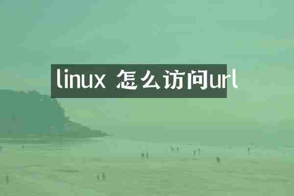linux 怎么访问url