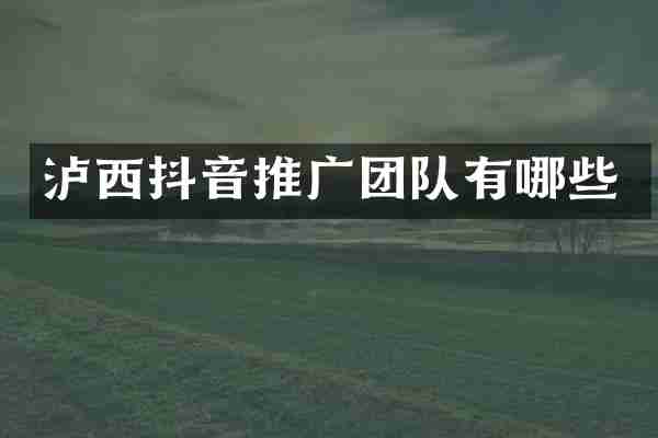 泸西抖音推广团队有哪些