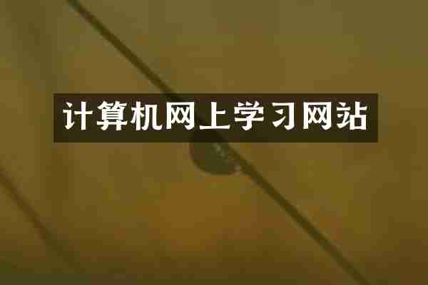 计算机网上学习网站