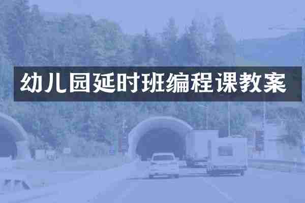 幼儿园延时班编程课教案
