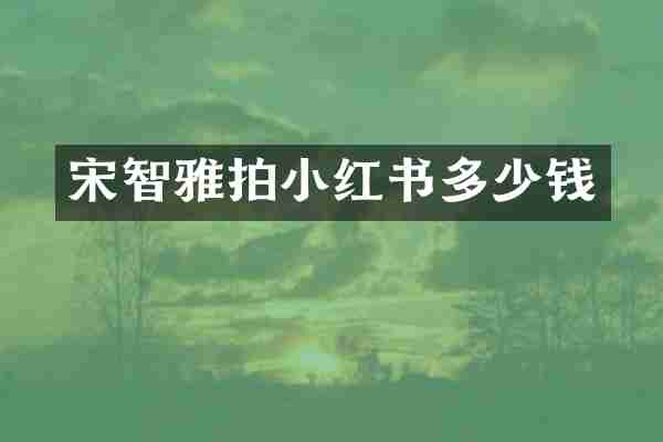 宋智雅拍小红书多少钱