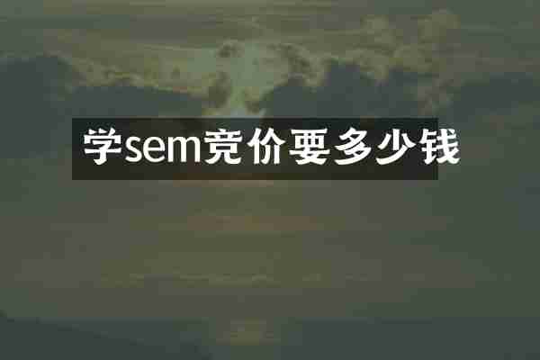 学sem竞价要多少钱