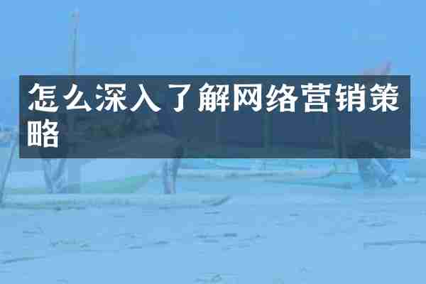 怎么深入了解网络营销策略