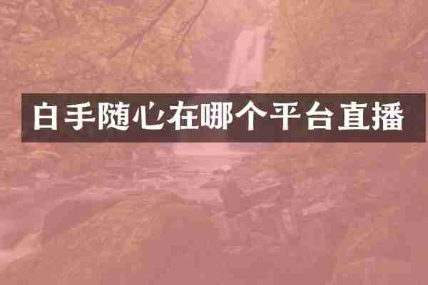 白手随心在哪个平台直播