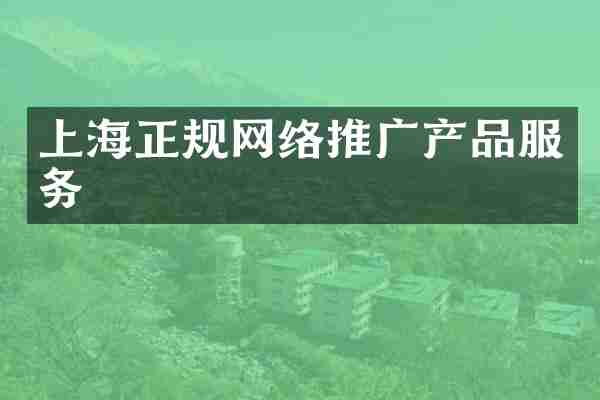 上海正规网络推广产品服务