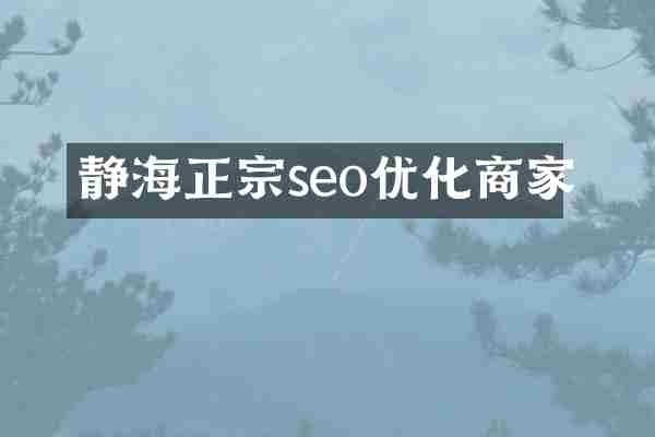 静海正宗seo优化商家