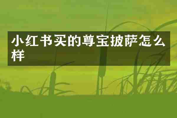 小红书买的尊宝披萨怎么样