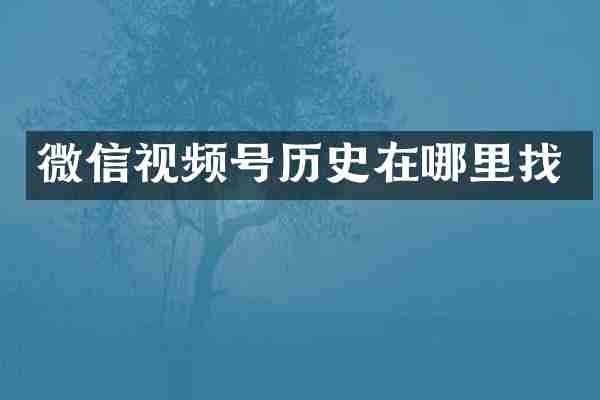 微信视频号历史在哪里找