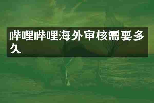 哔哩哔哩海外审核需要多久