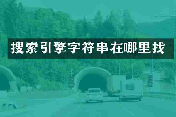 搜索引擎字符串在哪里找