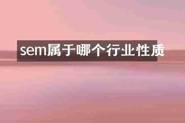 sem属于哪个行业性质
