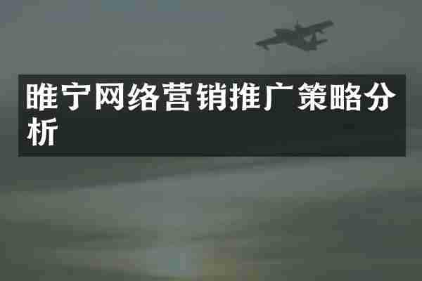 睢宁网络营销推广策略分析