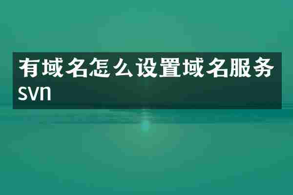 有域名怎么设置域名服务svn