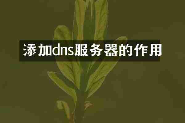 添加dns服务器的作用