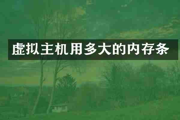 虚拟主机用多大的内存条