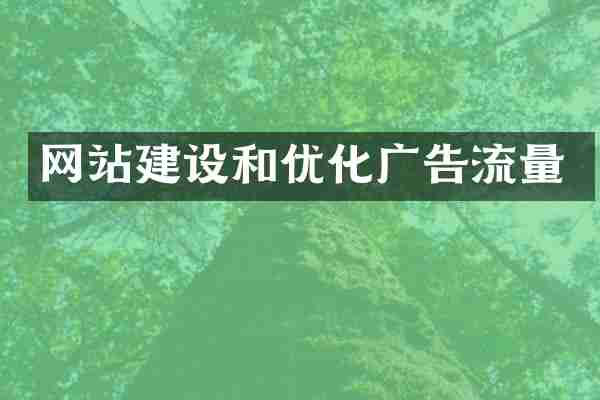 网站建设和优化广告流量