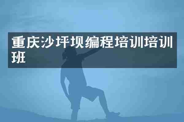 重庆沙坪坝编程培训培训班