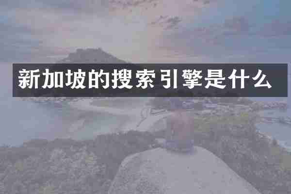 新加坡的搜索引擎是什么