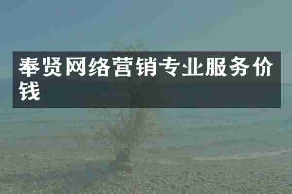 奉贤网络营销专业服务价钱
