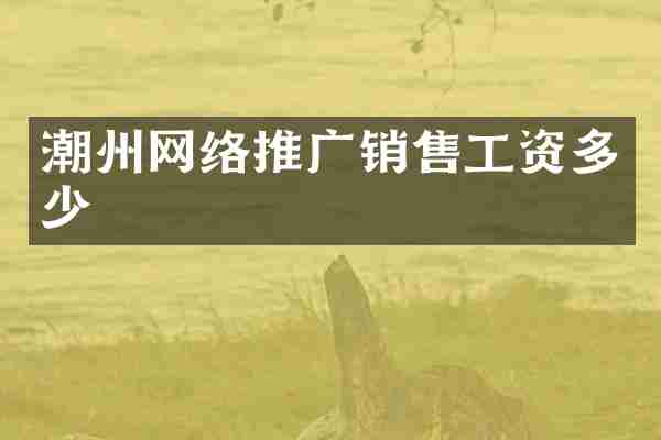 潮州网络推广销售工资多少