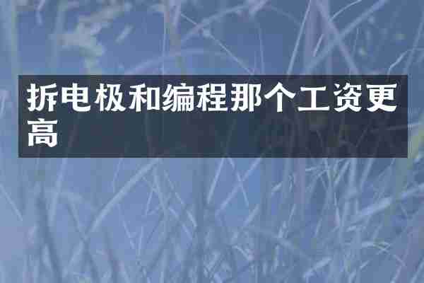 拆电极和编程那个工资更高