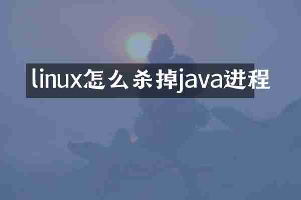 linux怎么杀掉java进程