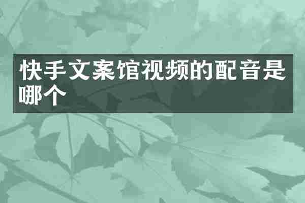 快手文案馆视频的配音是哪个