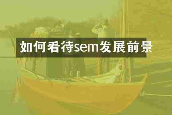 如何看待sem发展前景