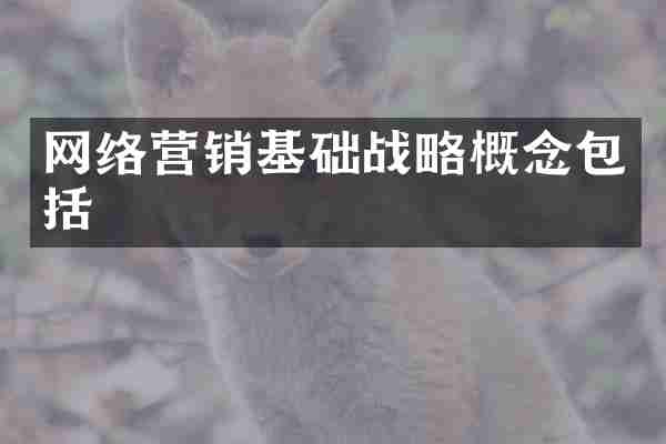 网络营销基础战略概念包括