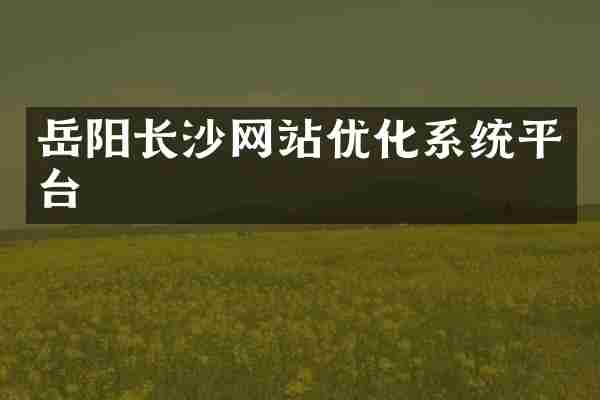 岳阳长沙网站优化系统平台