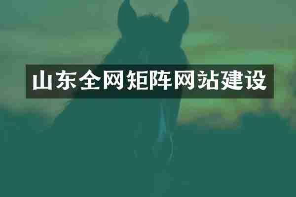 山东全网矩阵网站建设