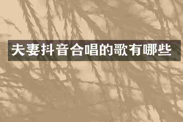 夫妻抖音合唱的歌有哪些