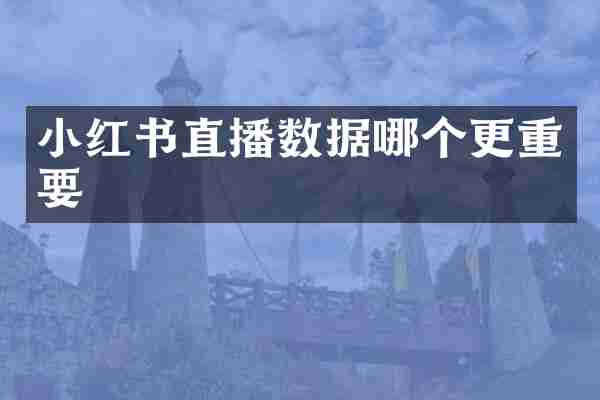 小红书直播数据哪个更重要