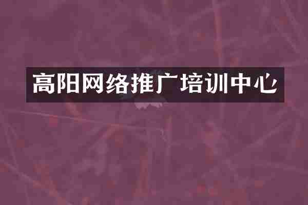 高阳网络推广培训中心