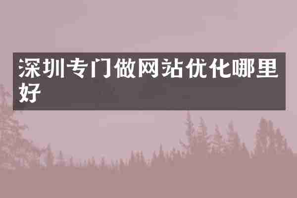 深圳专门做网站优化哪里好