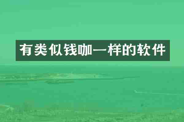 有类似钱咖一样的软件