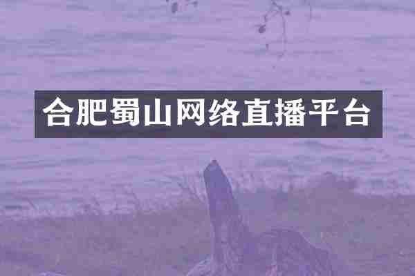 合肥蜀山网络直播平台