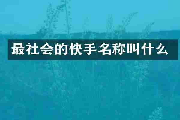 最社会的快手名称叫什么