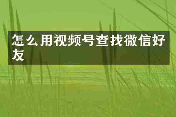 怎么用视频号查找微信好友