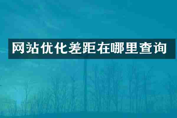 网站优化差距在哪里查询