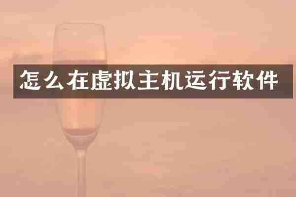 怎么在虚拟主机运行软件