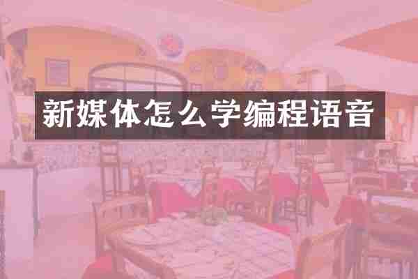 新媒体怎么学编程语音