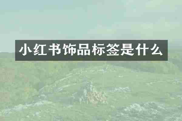 小红书饰品标签是什么