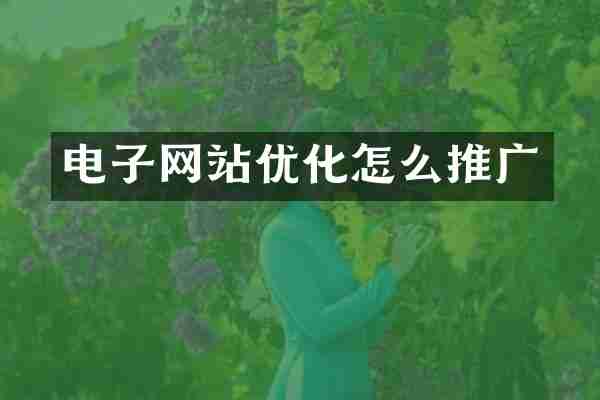 电子网站优化怎么推广