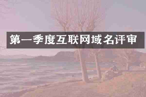 第一季度互联网域名评审